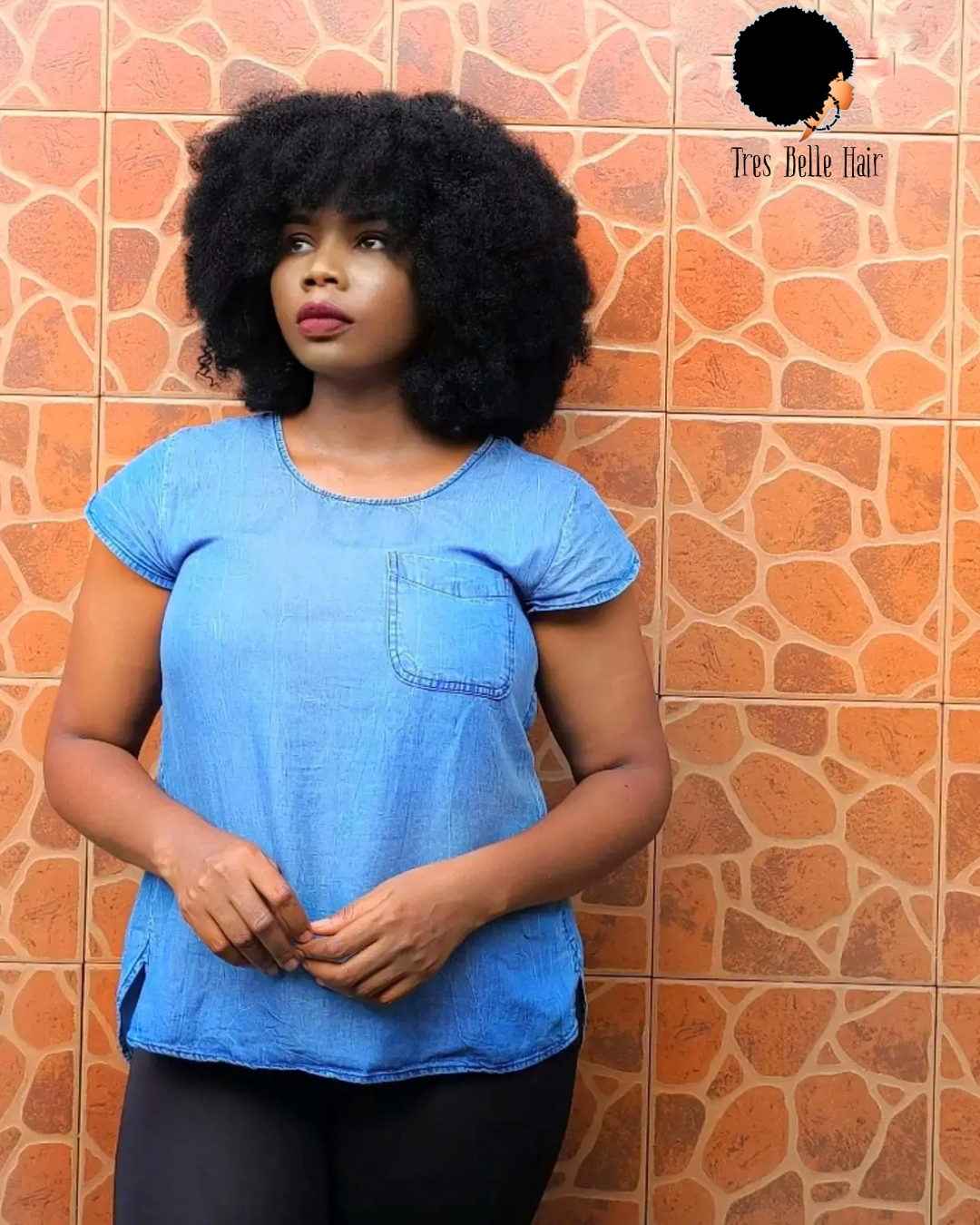 AFRO WIG ( SYNTHETIC HAIR)